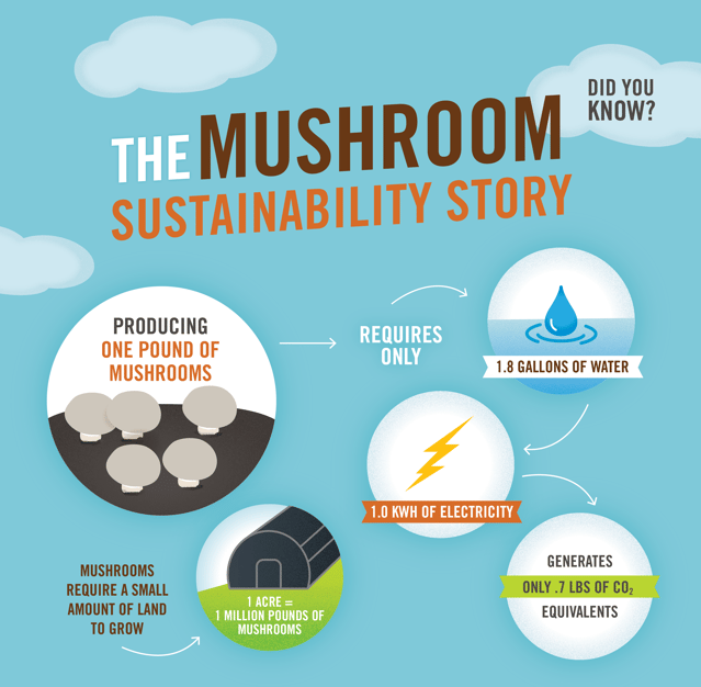 Sustainability Monterey Mushrooms®